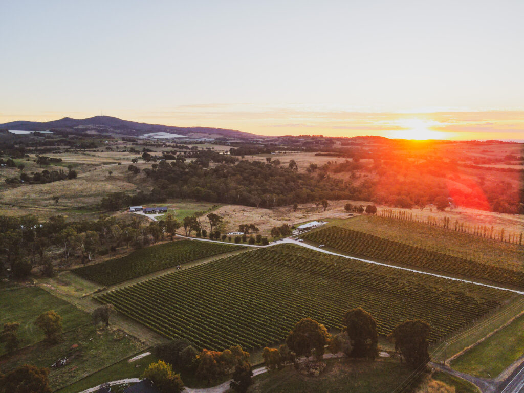 cool-climate winemaking